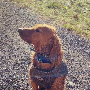 Meet your Posher, Johnny